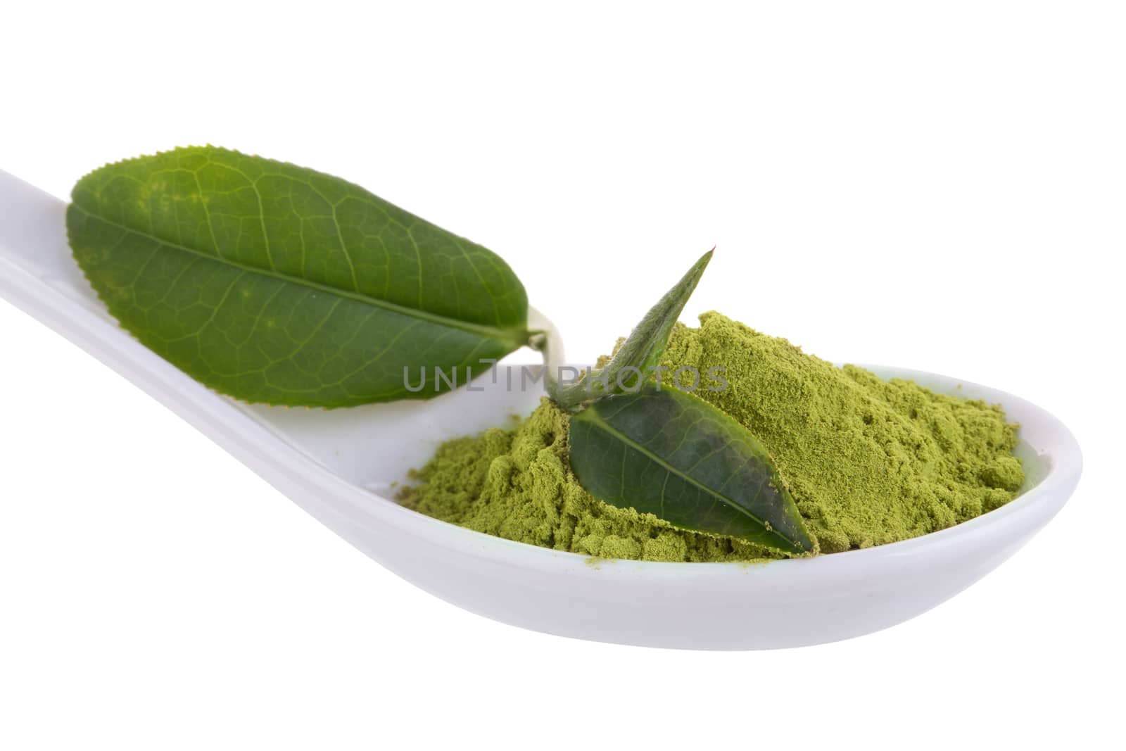 matcha powder in White ceramic spoon isolated on white background.