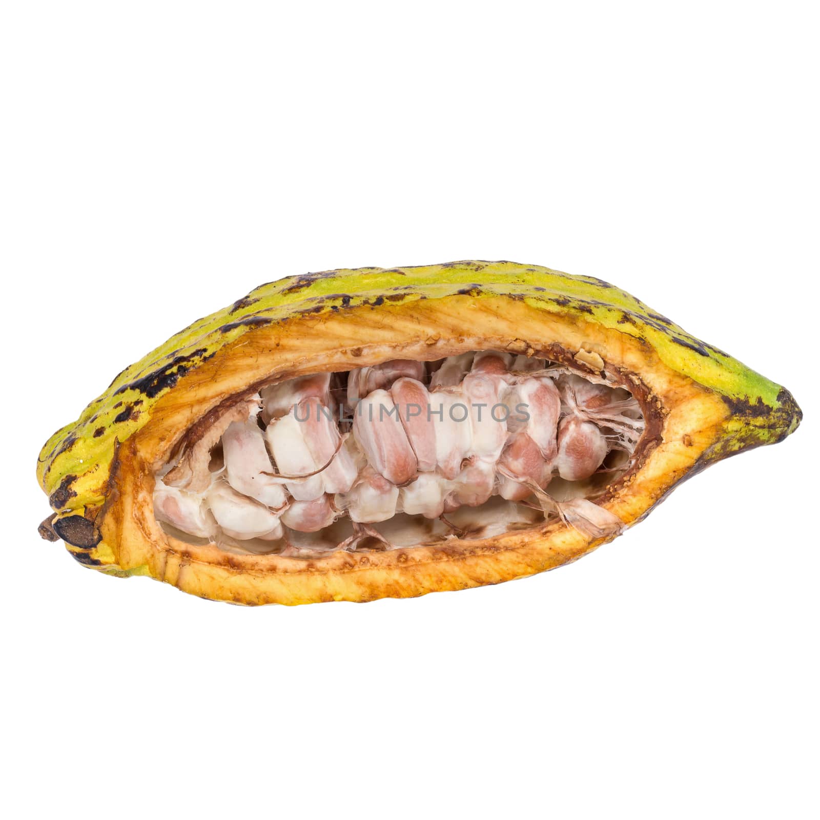 Cacao fruit, raw cacao beans, Cocoa pod isolated on white backgr by kaiskynet