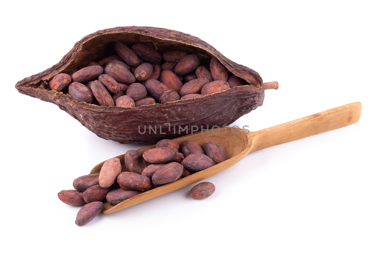 Cocoa pod ,beans and isolated on white background.