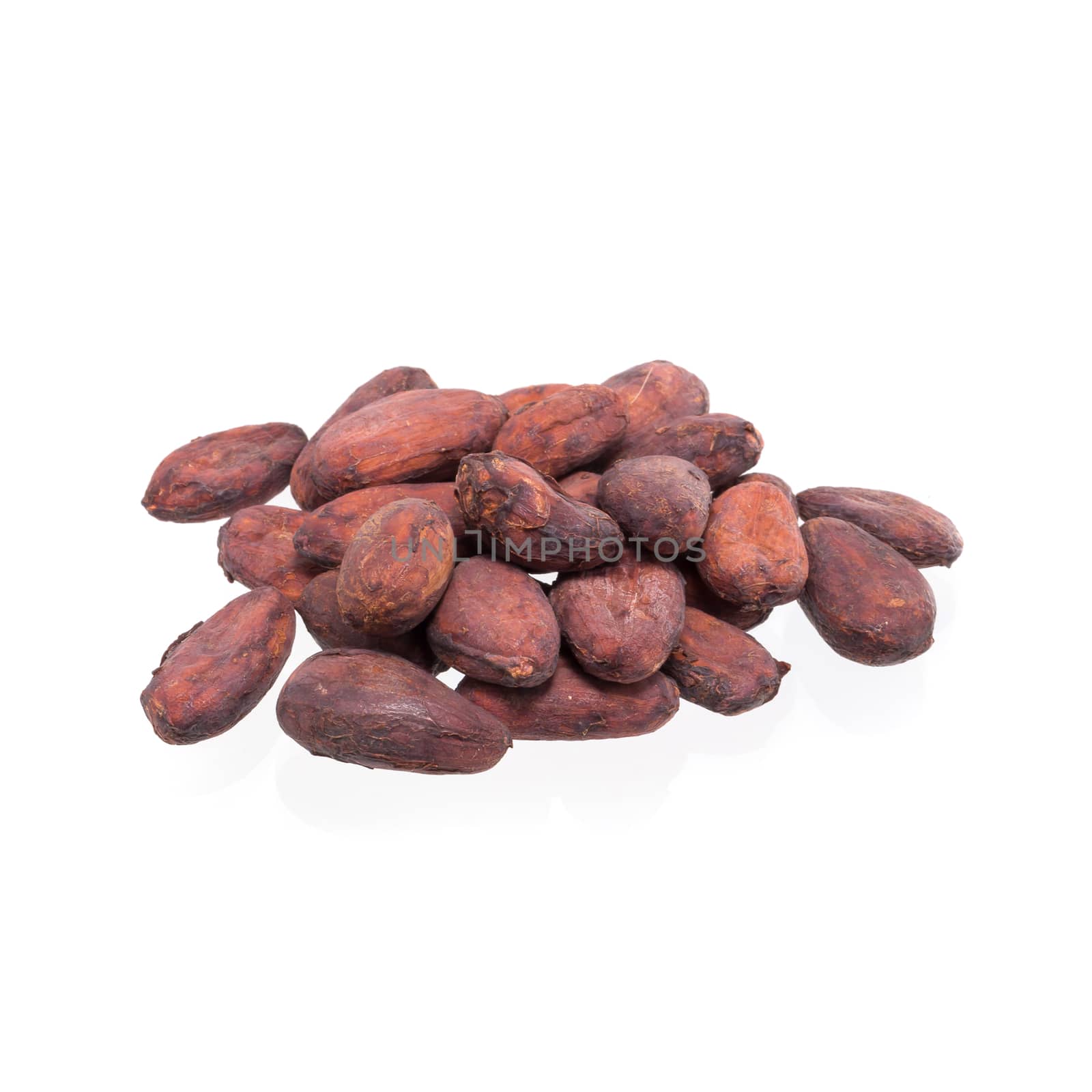 Cocoa beans isolated on a white background.