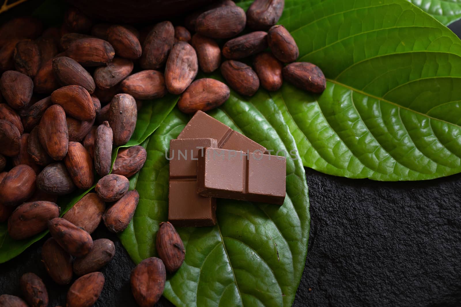 Chocolate bar and cocoa beans on a dark background by kaiskynet