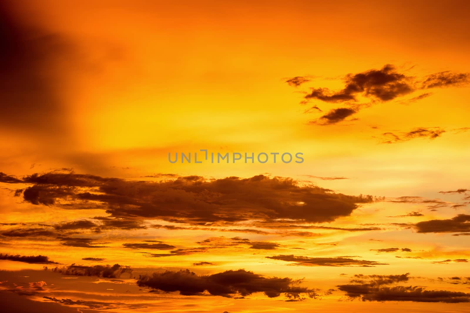 Colorful dramatic sky with cloud at sunset.Sky with sun background.