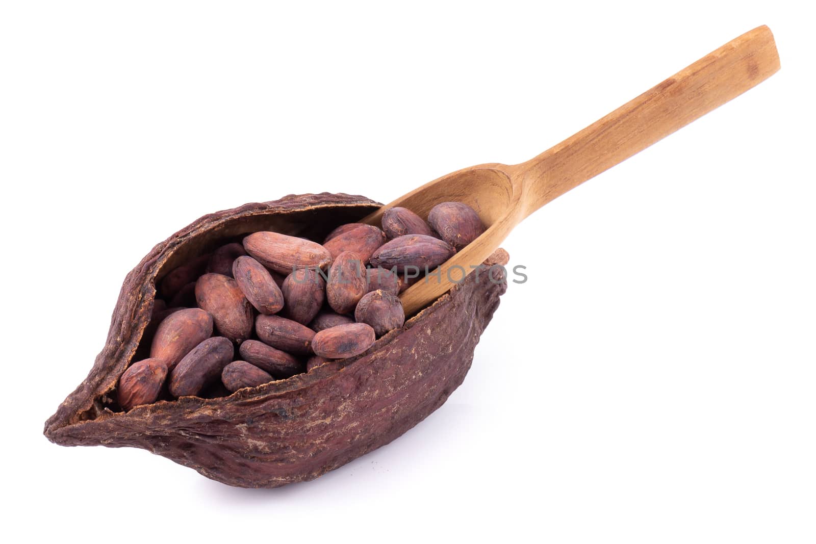 Cocoa pod ,beans and isolated on white background.