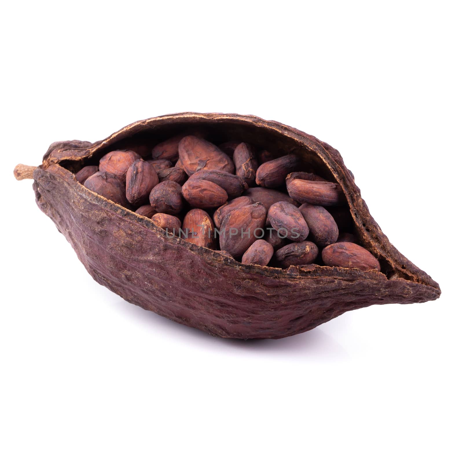 Cocoa pod ,beans and isolated on white background.