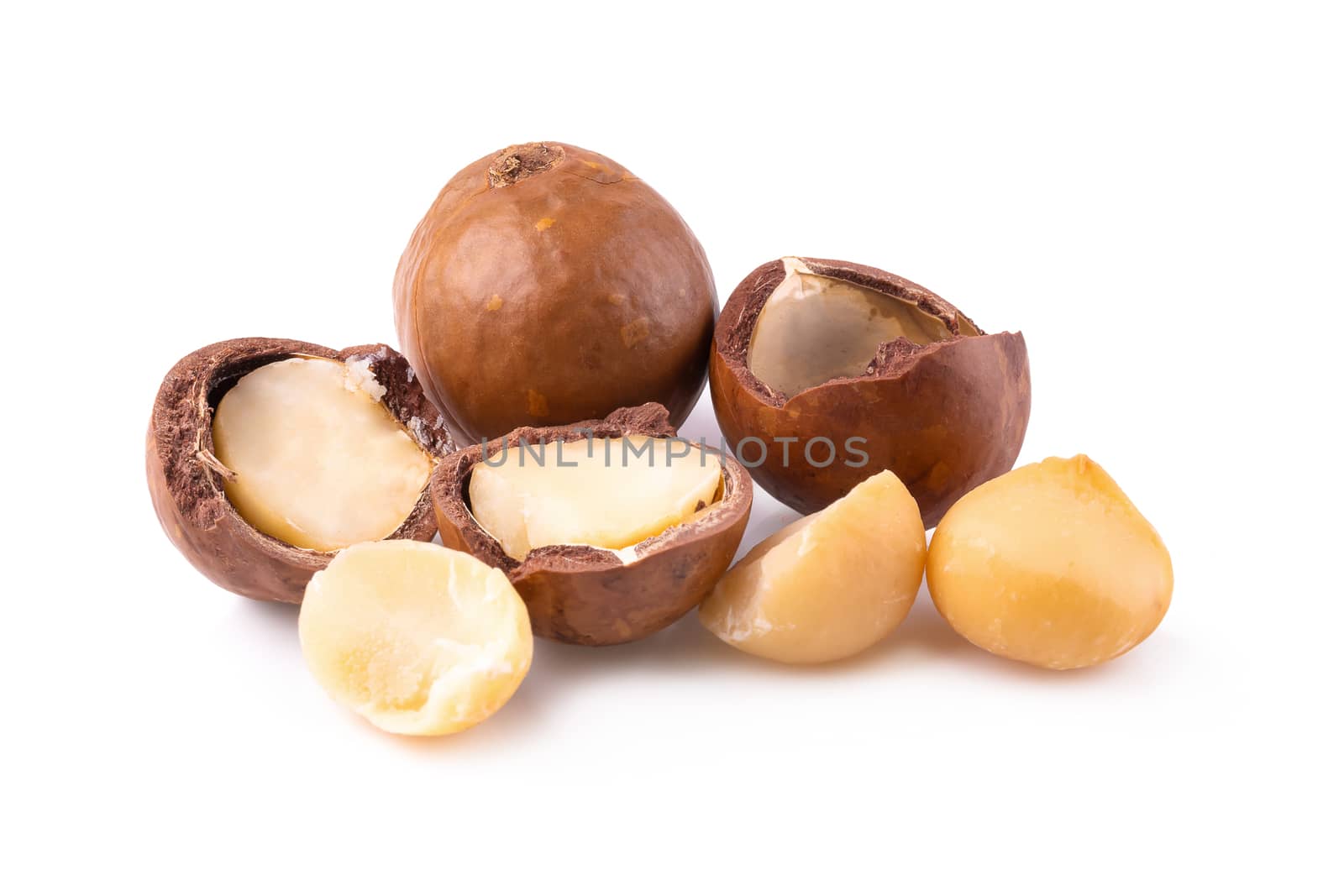 Macadamia nuts isolated on a white background by kaiskynet