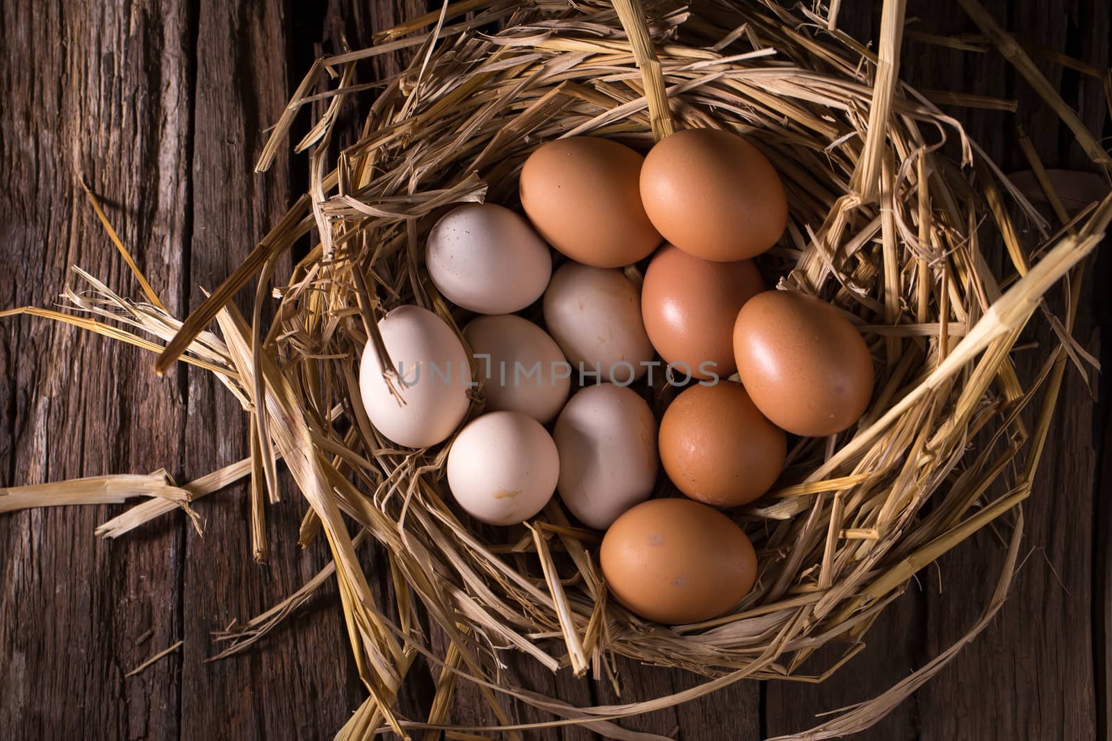 Chicken eggs in the straw in the morning light.