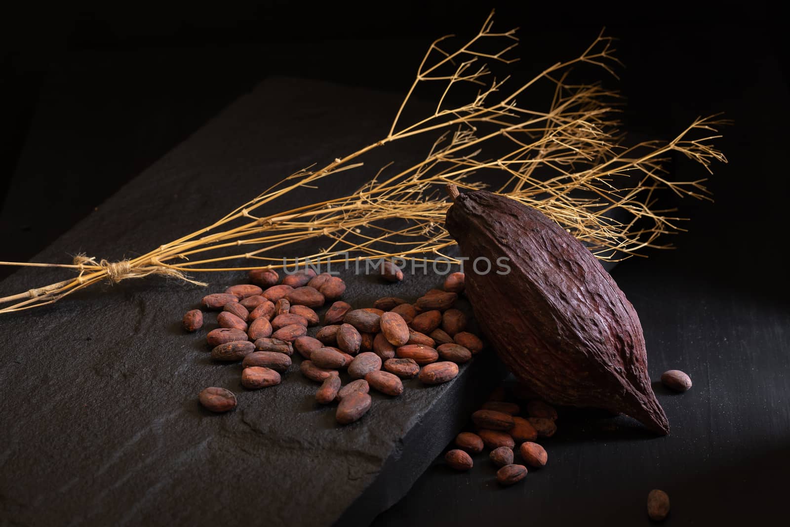 Cocoa beans and cocoa pod on a dark background.