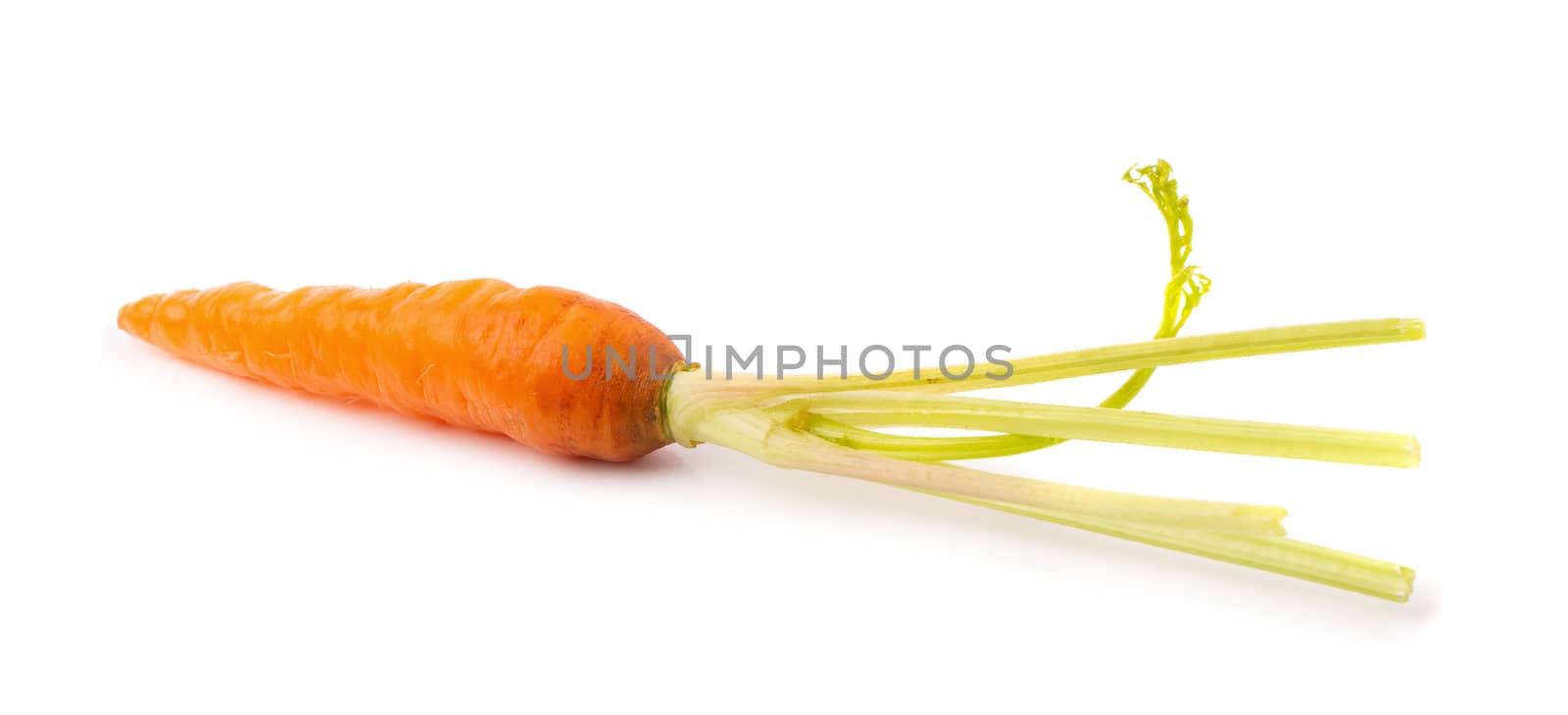 Fresh baby carrots isolated on a white background.