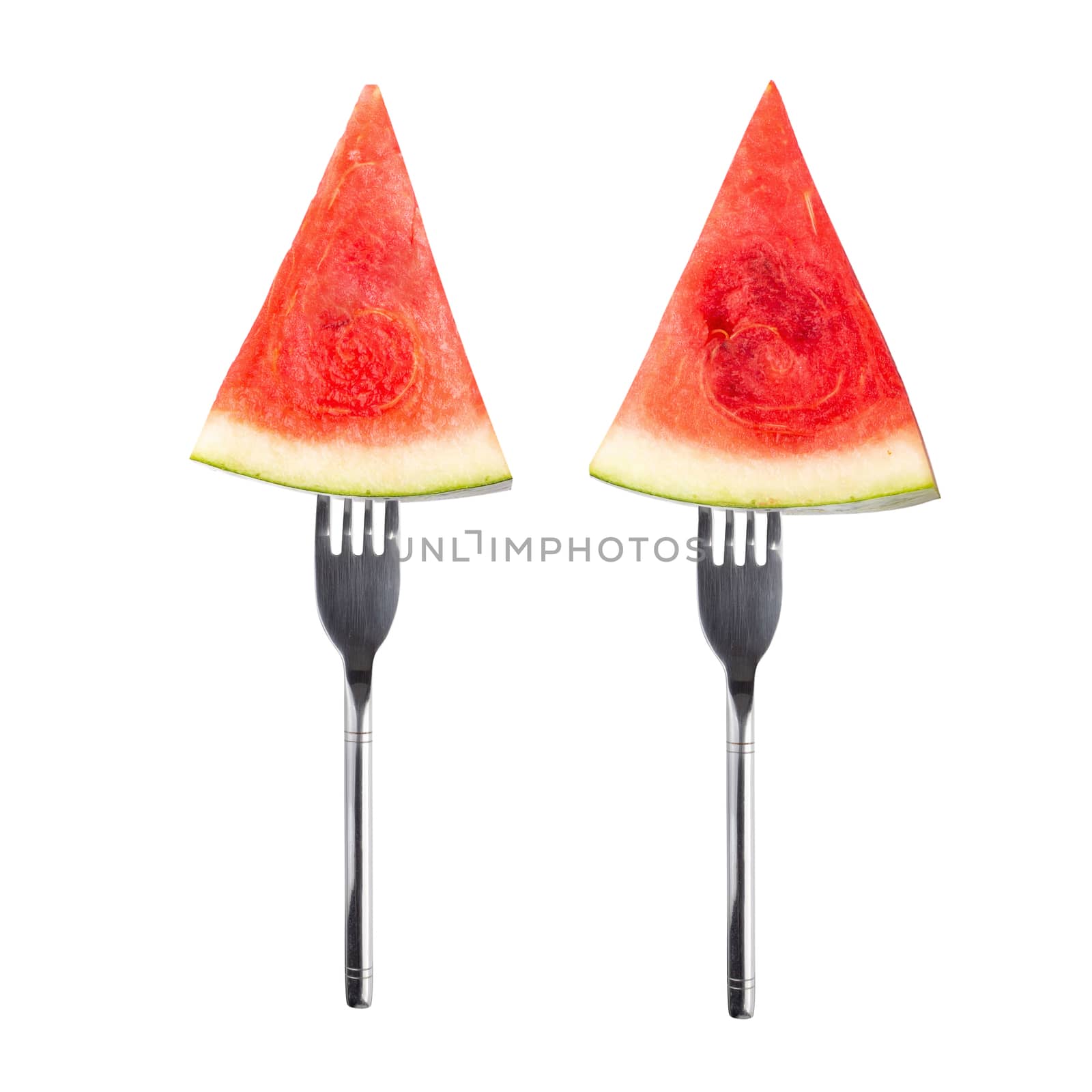 slice of watermelon on a Silver Fork isolated on white background.