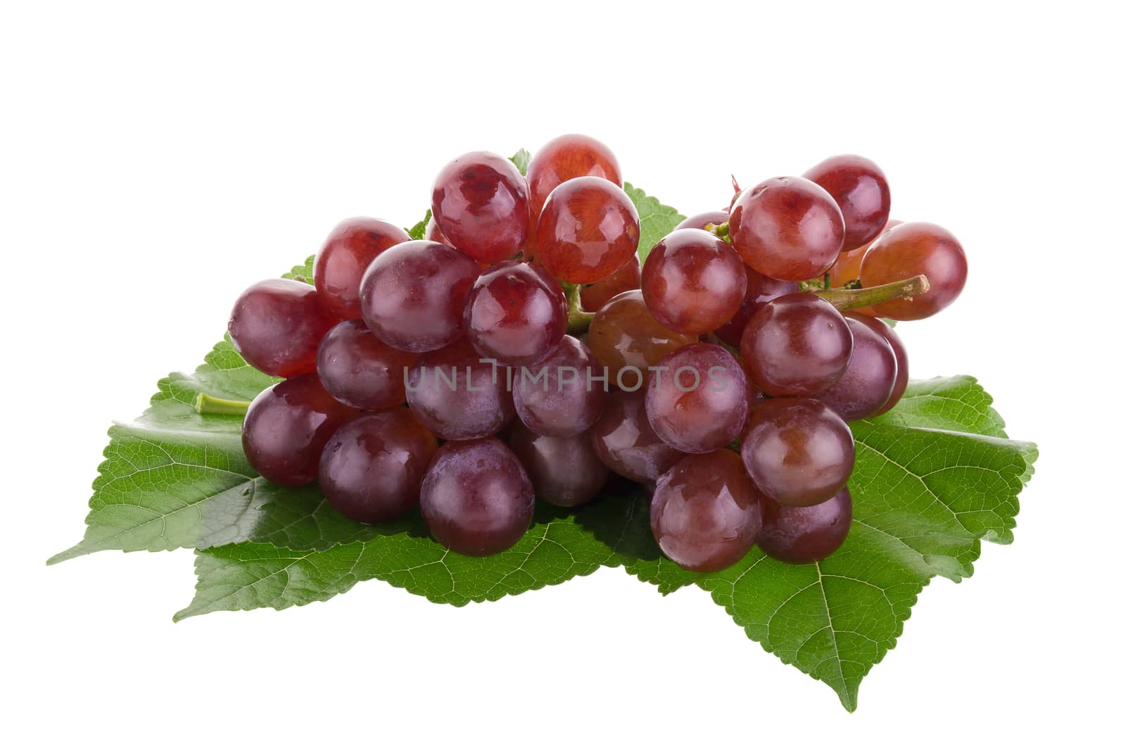 Red grapes isolated on over white background by kaiskynet