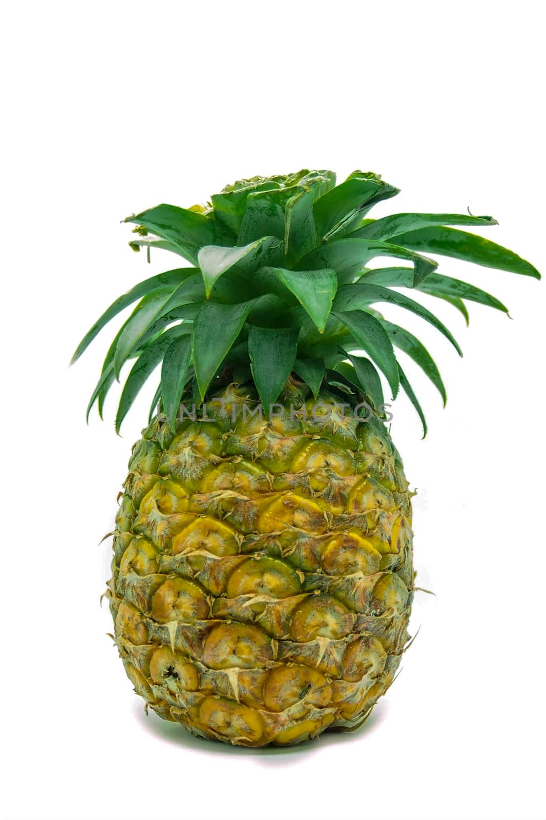 Pine Apple isolated on white background