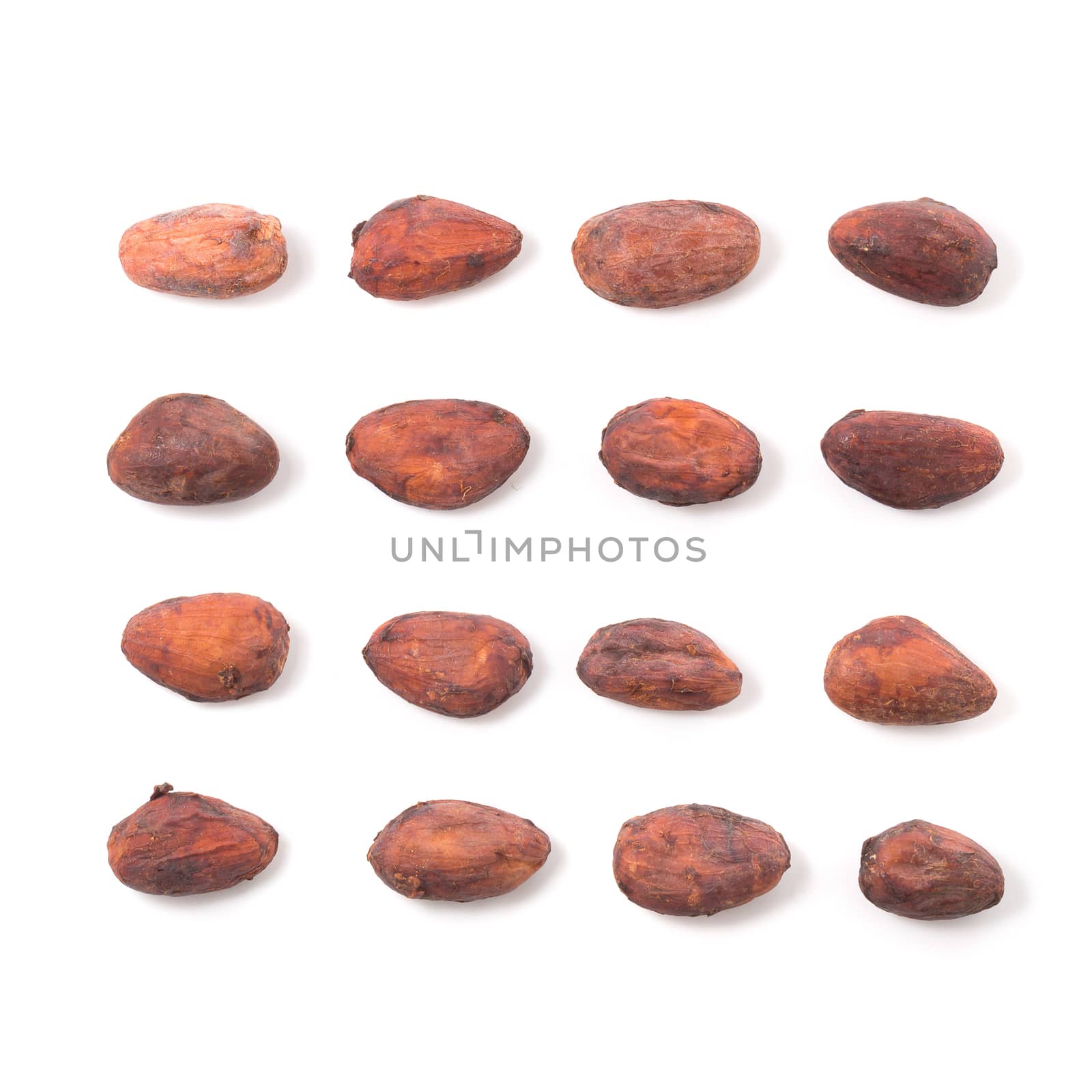 Cocoa fruit, raw cacao beans isolated on a white background by kaiskynet