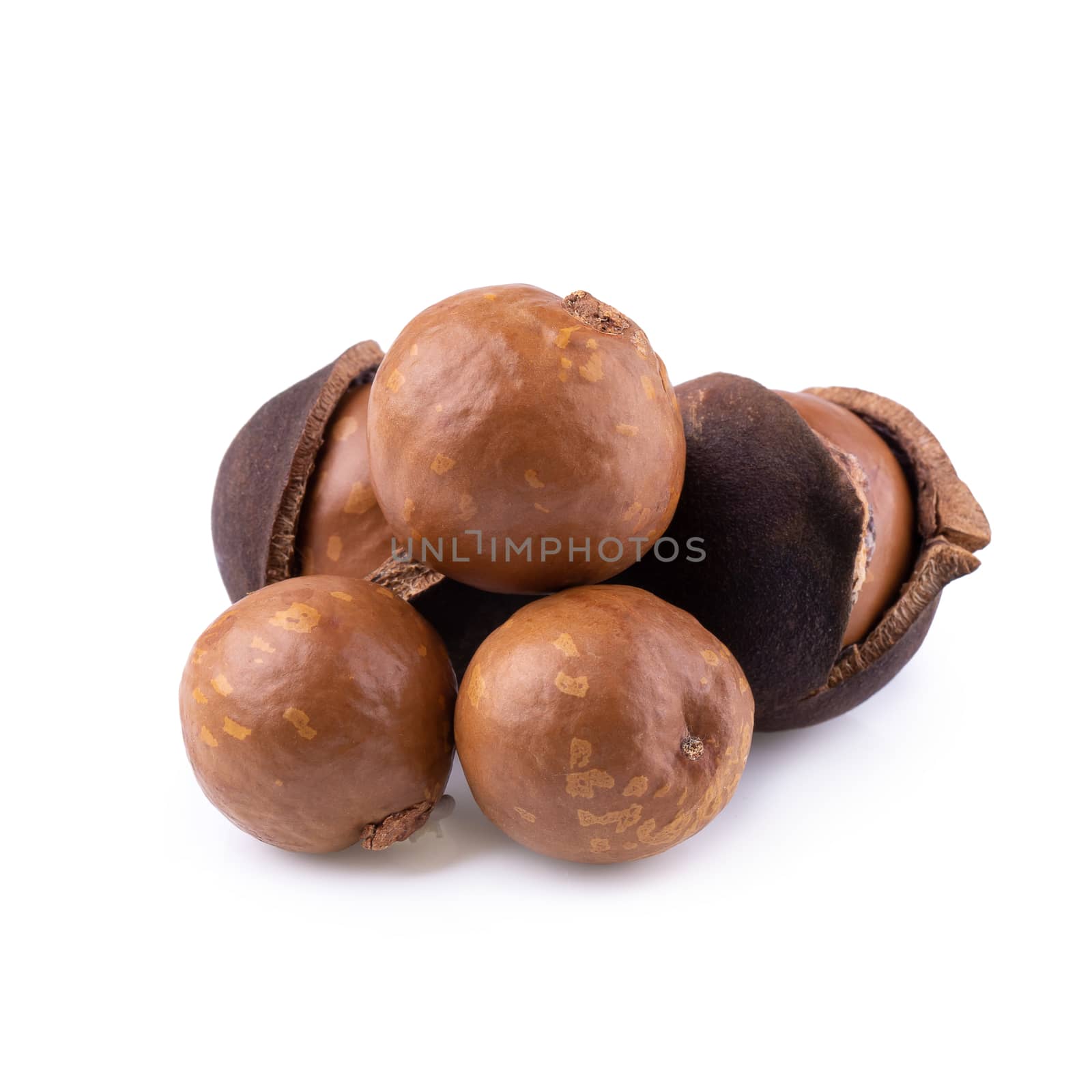 Macadamia nuts isolated on a white background.