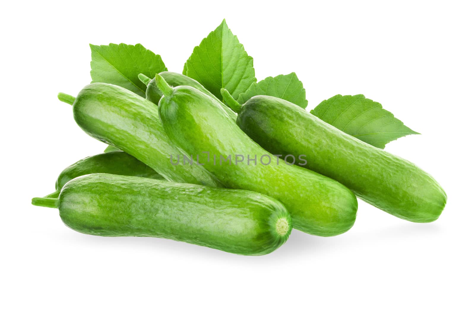 Organic Mini Baby Cucumbers with green leaf isolated on white background.