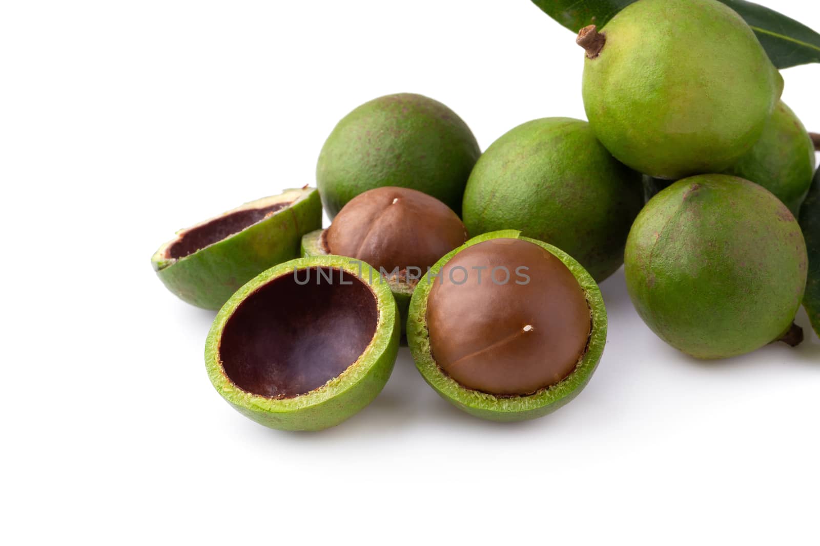 Macadamia nuts isolated on a white background.