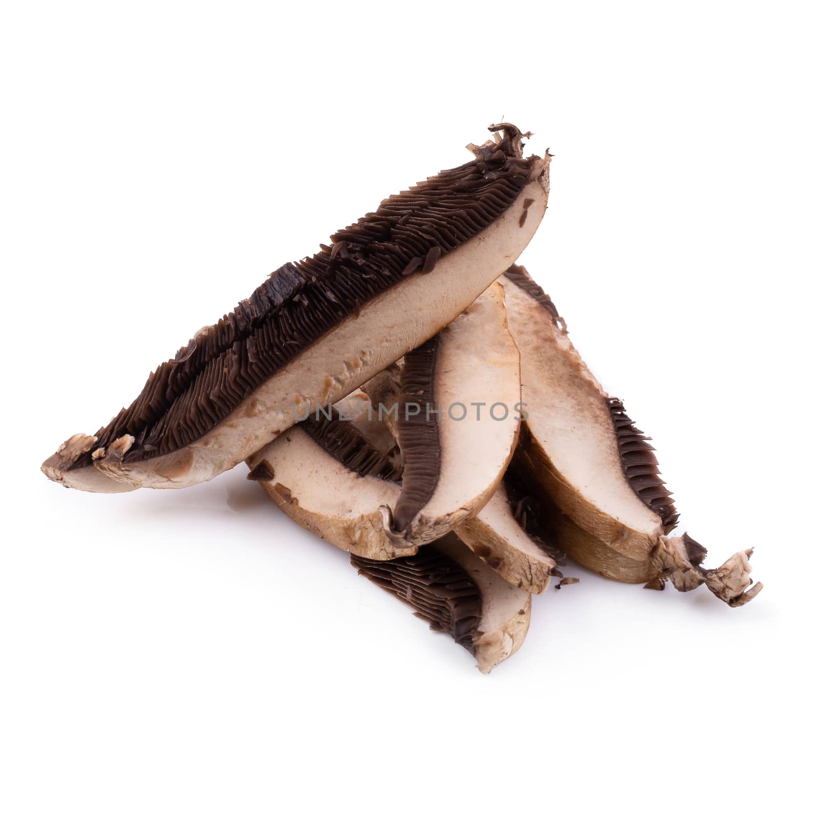 Portobello mushrooms and slice isolated on a white background.