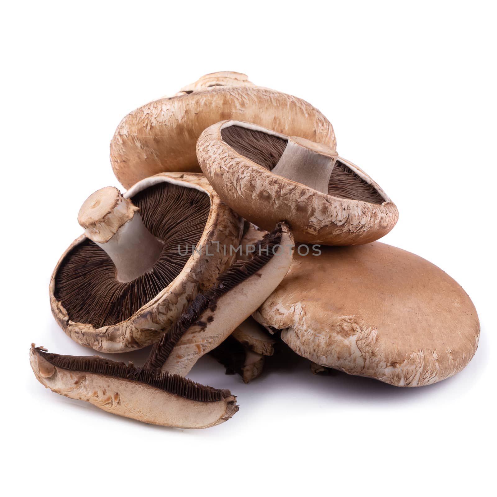 Portobello mushrooms and slice isolated on a white background.