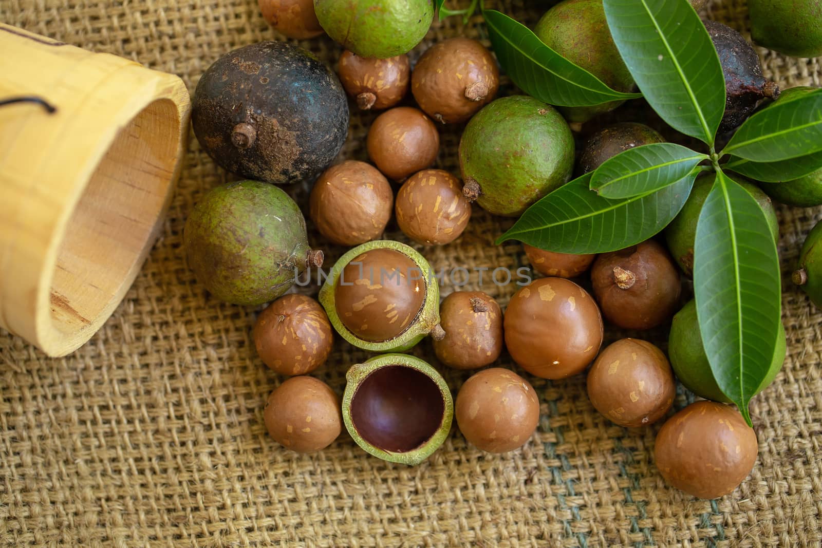 Macadamia nuts on sacks in natural light.