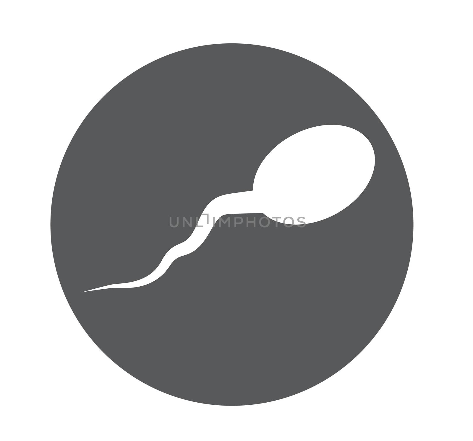 sperm icon on white background. flat style. sperm icon for your  by suthee