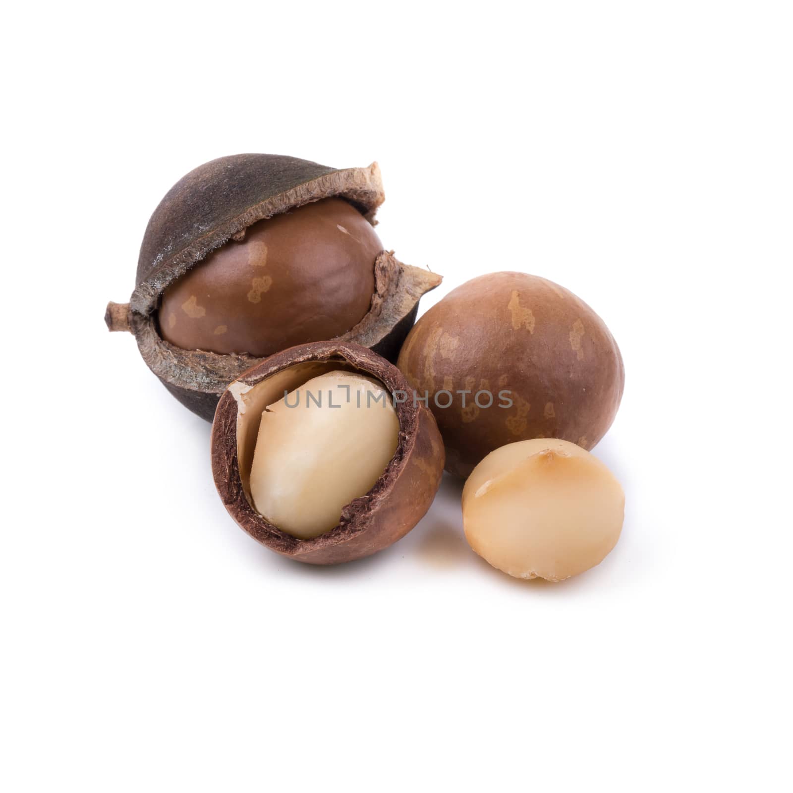 Shelled and unshelled macadamia nuts on white background.