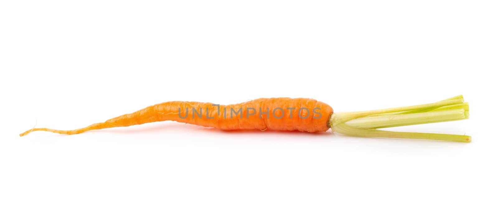 Fresh baby carrots isolated on a white background.
