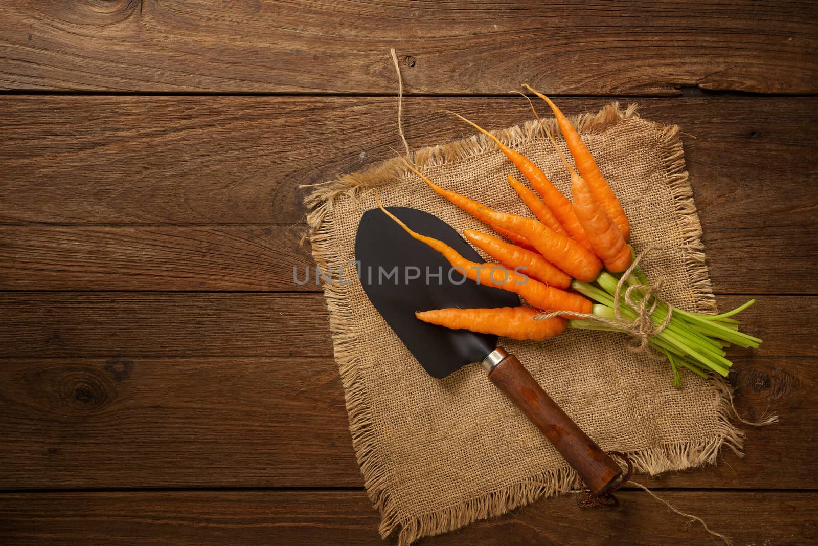 Fresh baby carrots on wooden cutting board and wooden background.