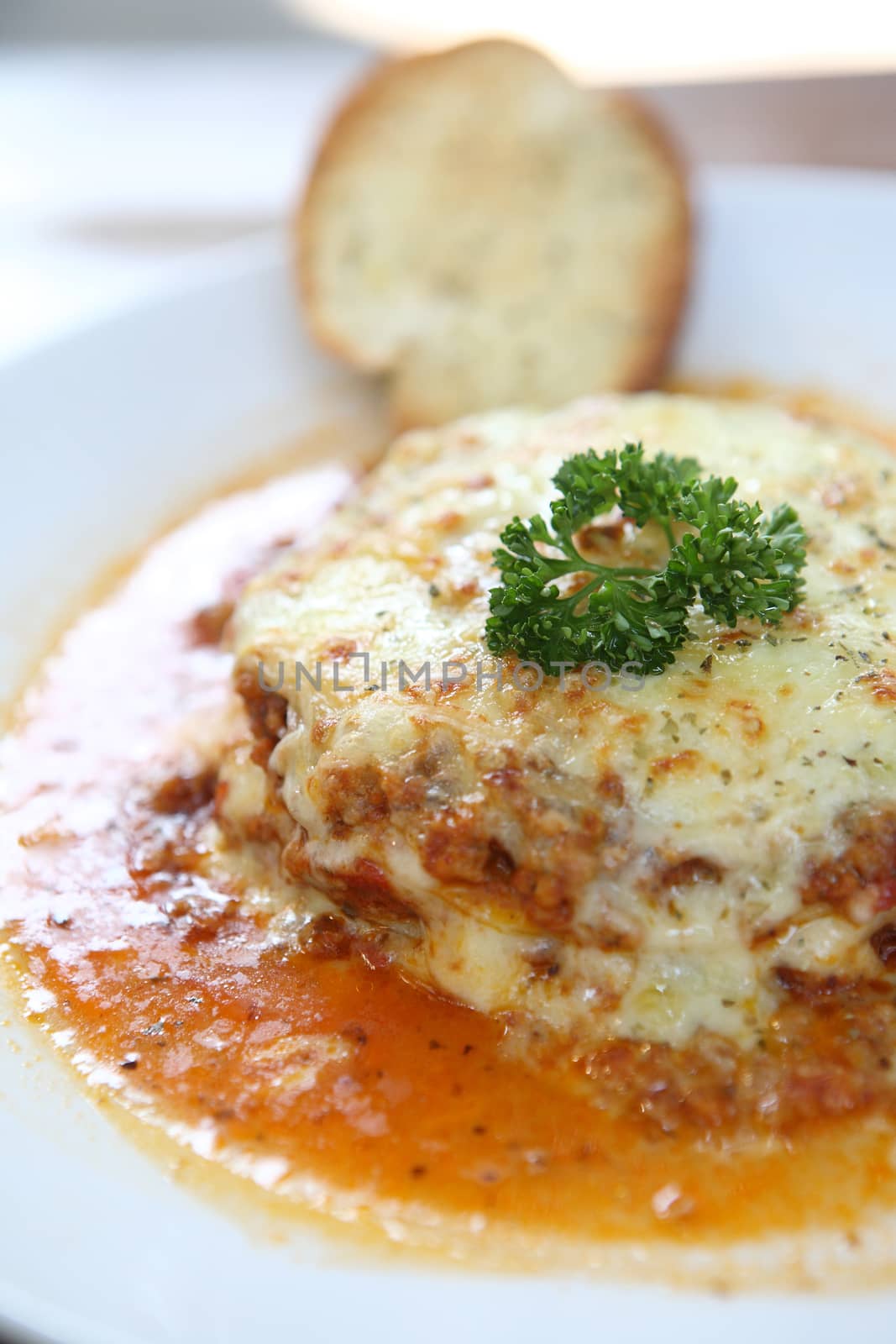 Meat and Cheese Lasagna 
