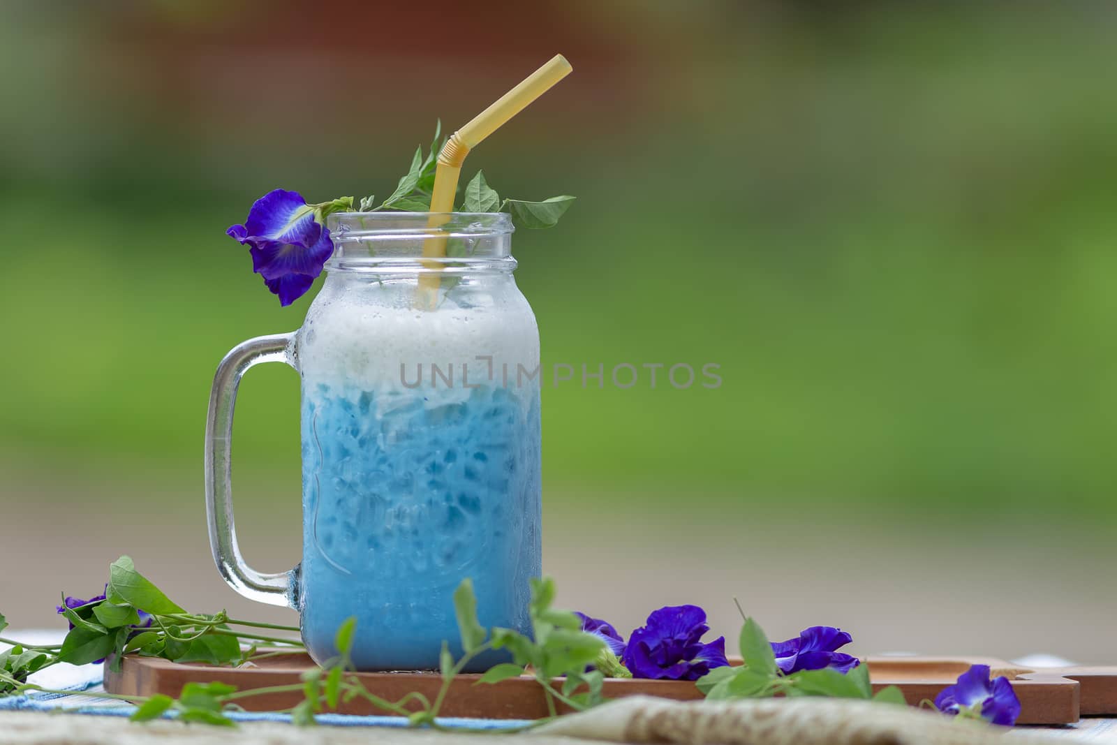 Iced Blue pea milk or Iced Butterfly Pea Latte with milk Healthy by kaiskynet