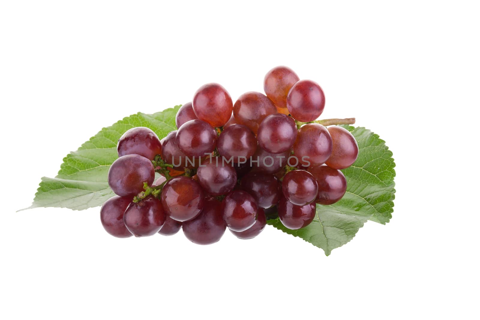 Red grapes isolated on over white background.