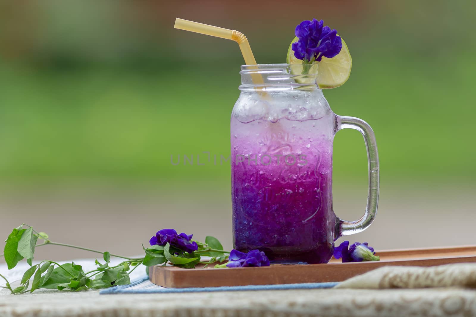 Fresh purple Butterfly pea or blue pea flower and lemon juice in glass with green blur background.