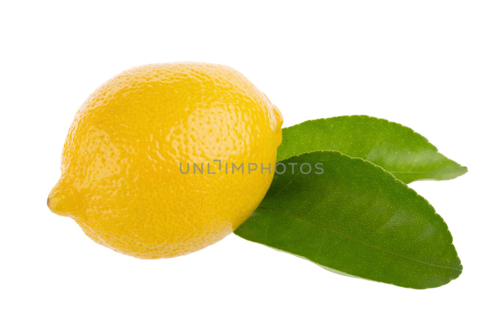 yellow lemon isolated on over white background.