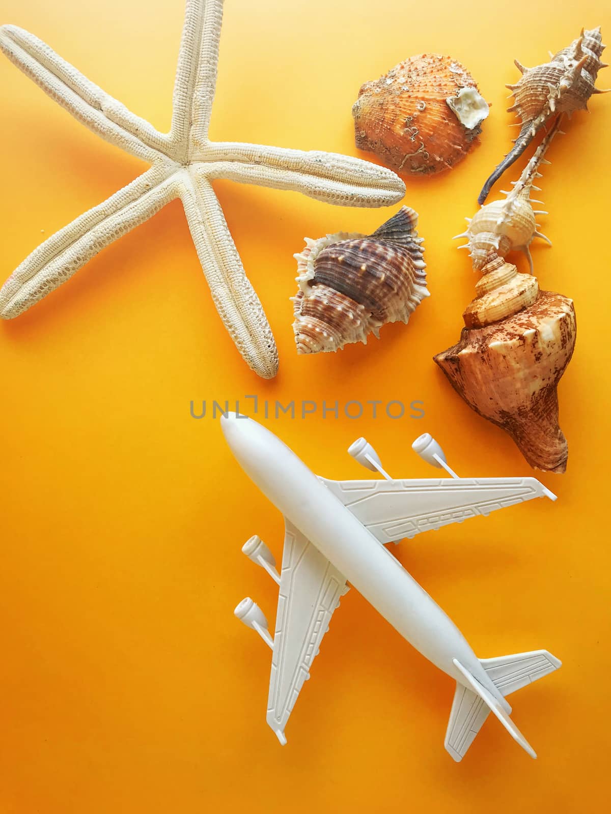 Summer concept. Starfish and seashells on color background by kaiskynet