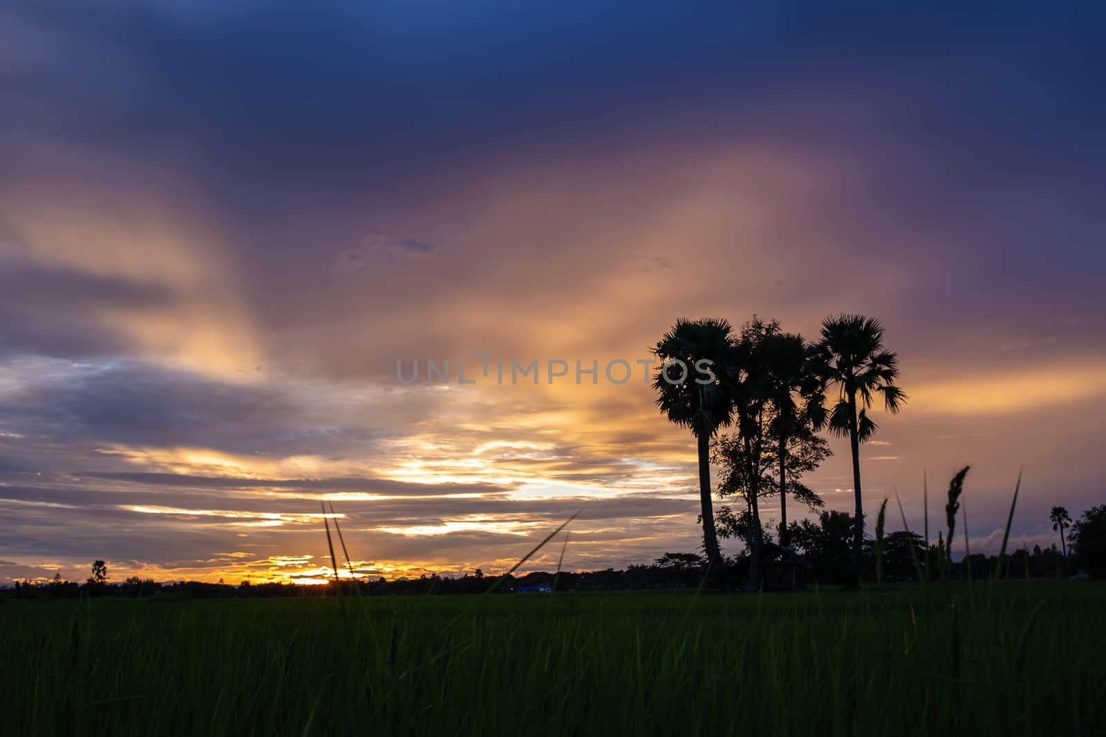 Colorful dramatic sky with cloud at sunset.Sky with sun background.