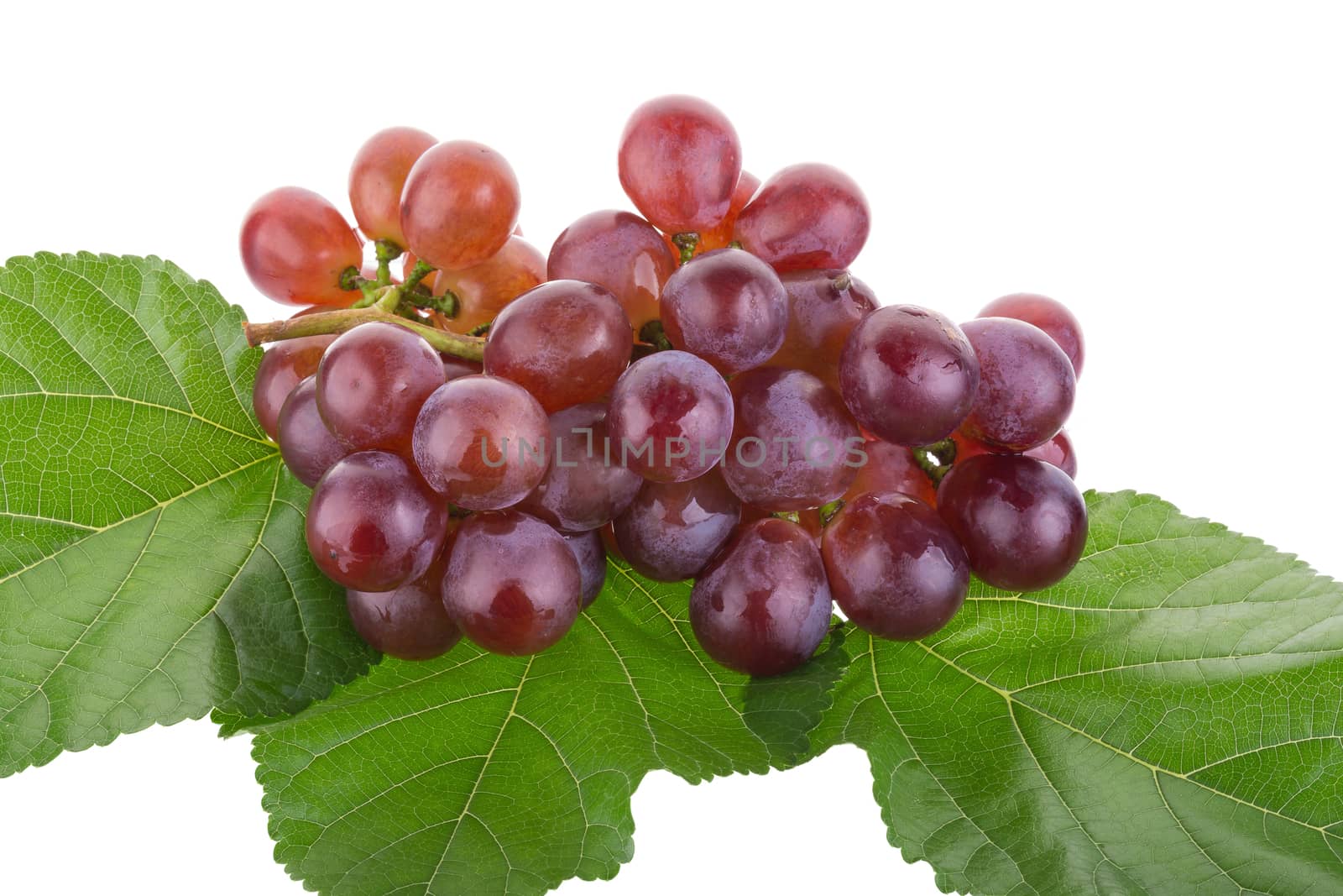 Red grapes isolated on over white background by kaiskynet