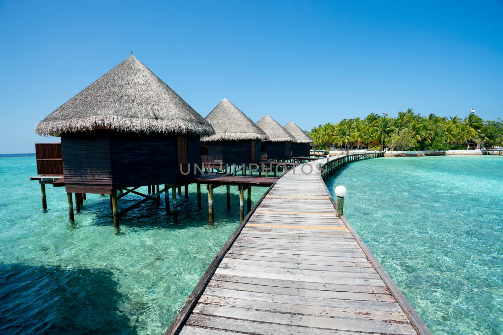 Maldives beach resort – summer vacation by Alicephoto