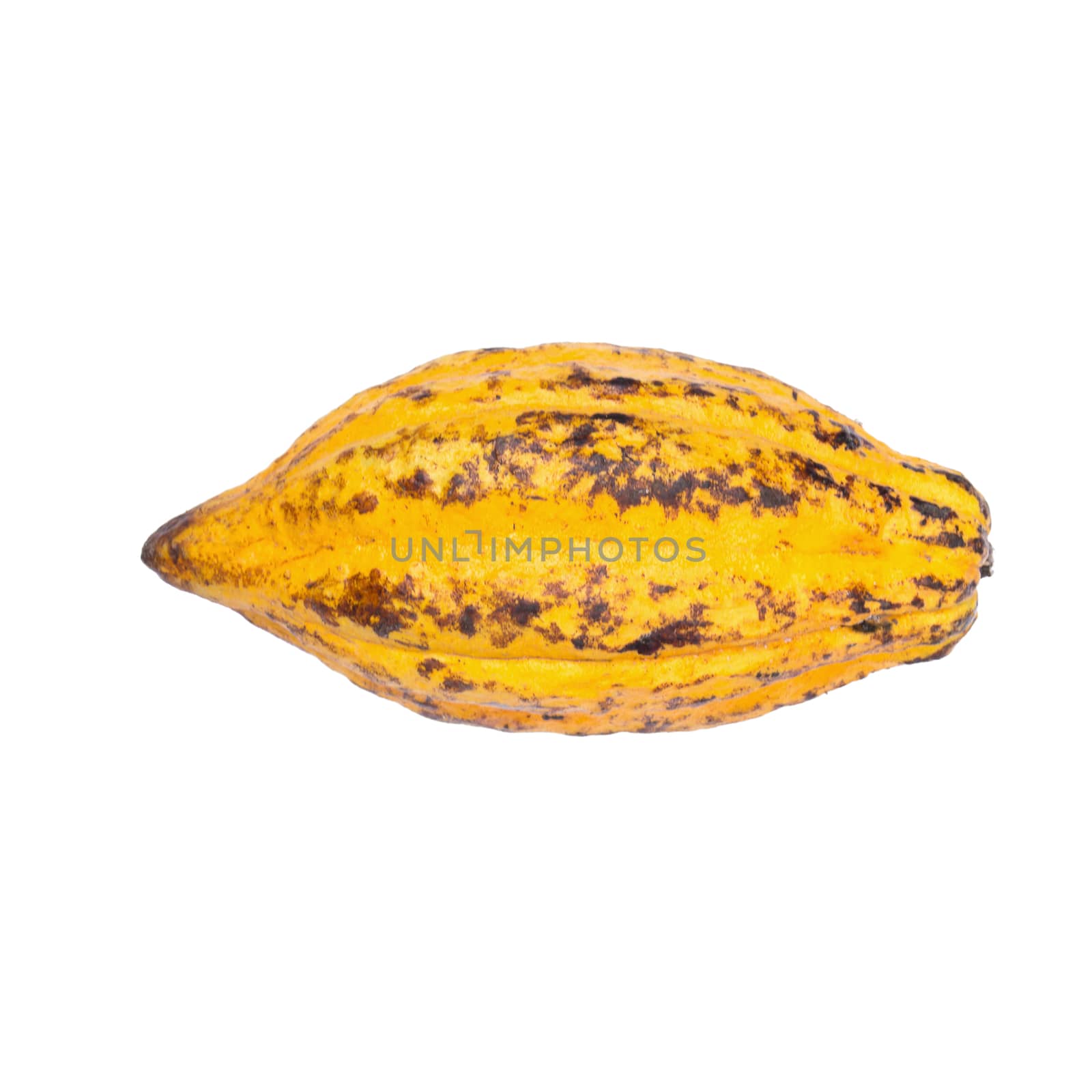 Cacao fruit, raw cacao beans, Cocoa pod isolated on white background.