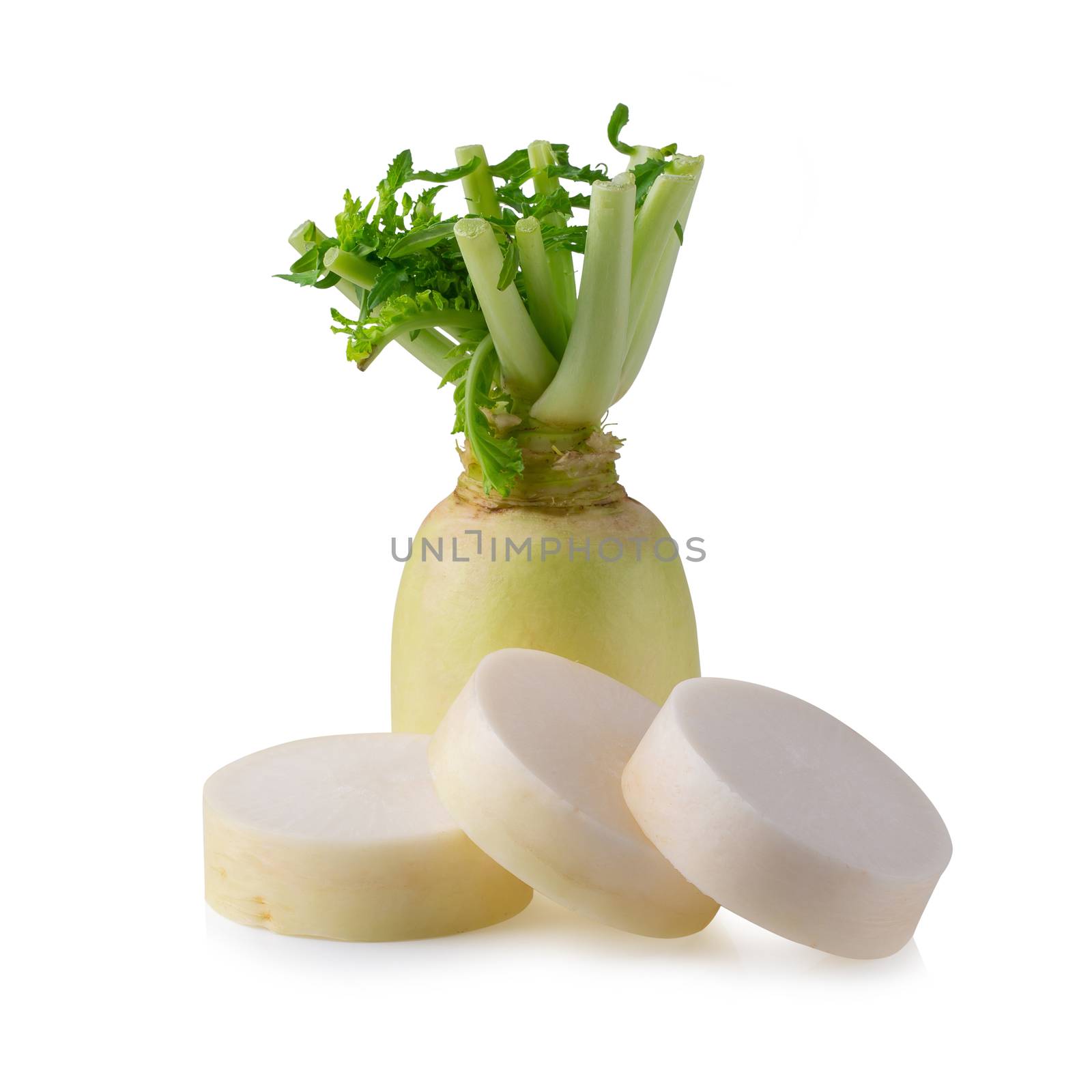 Daikon radishes isolated on a white background.