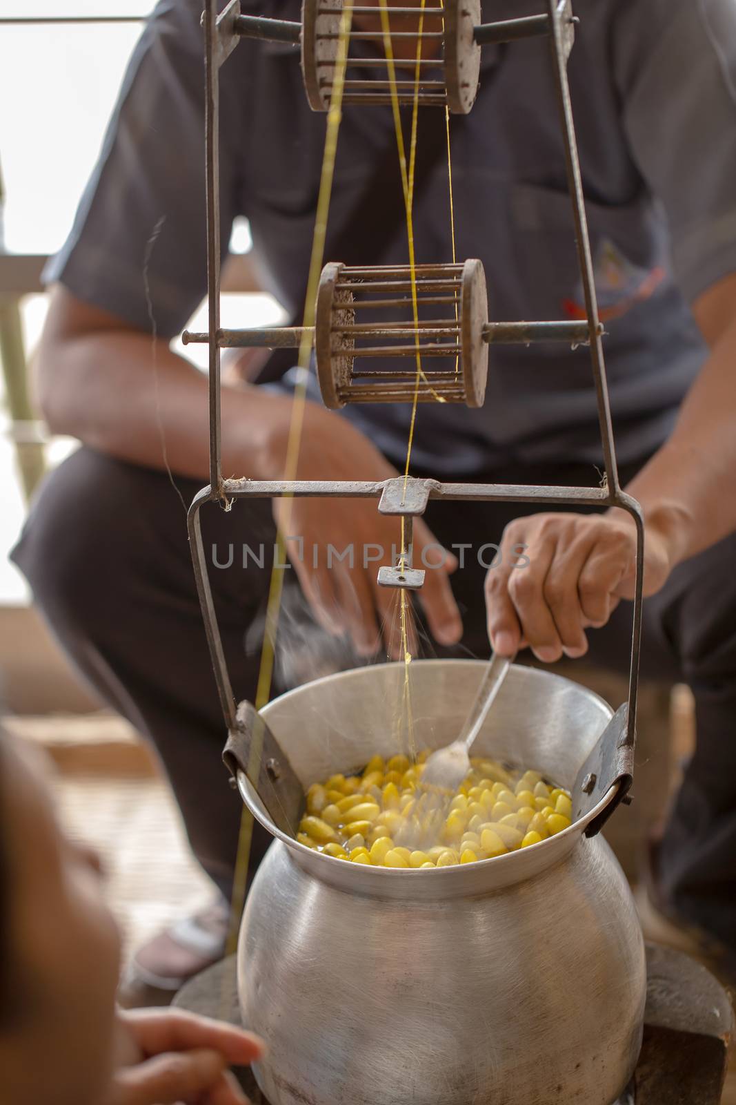 Boiling yellow silkworm cocoons by boiler to make silk thread.