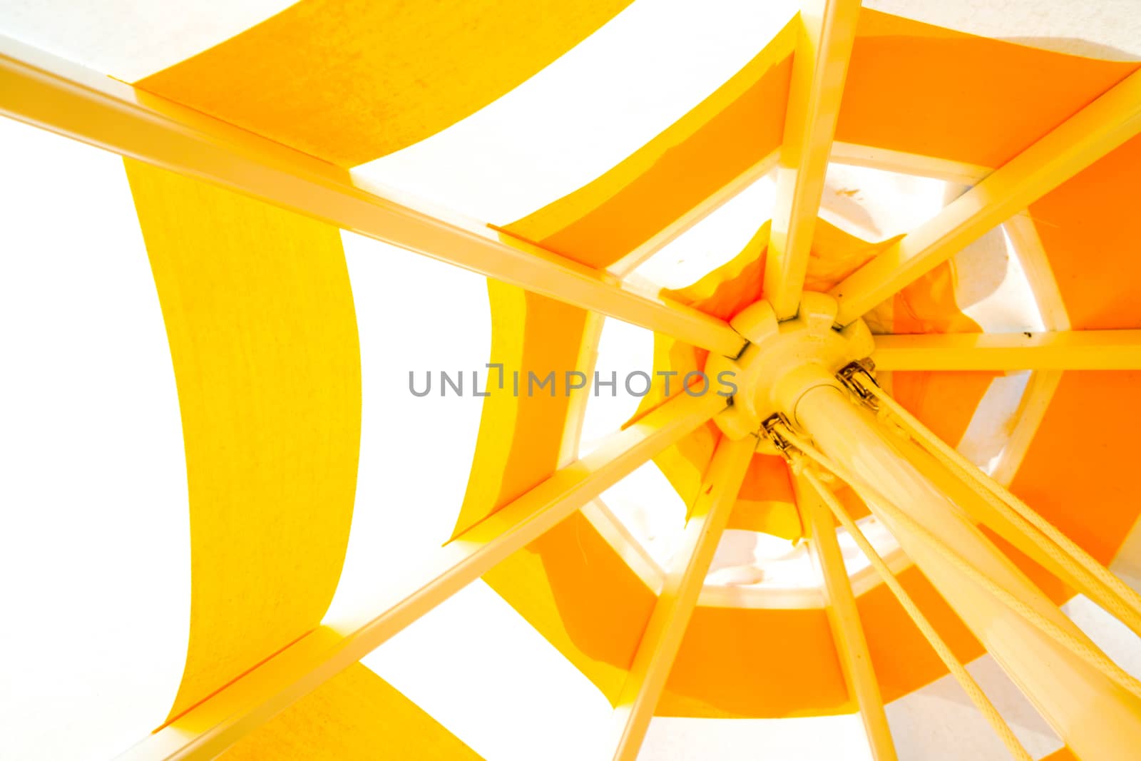 Colorfull yellow umbrella background 