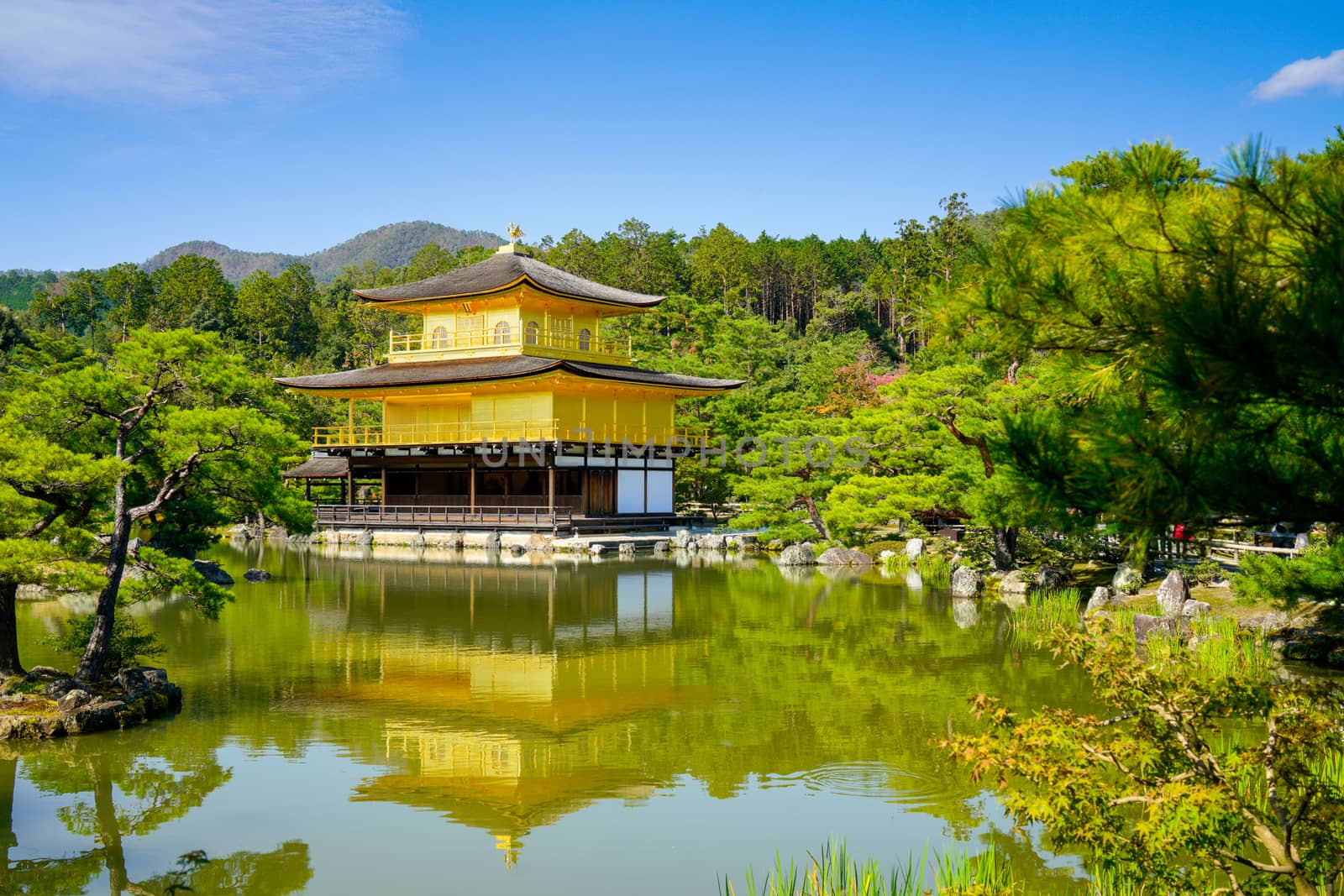 Kinkakuji Temple in Kyoto, Japan by Alicephoto