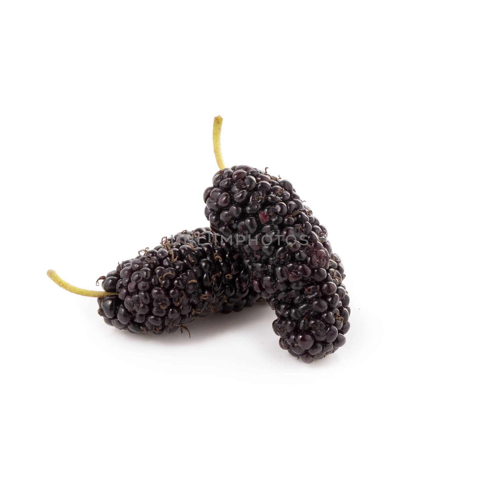 Mulberry fruit, Mulberry isolated on white background. by kaiskynet