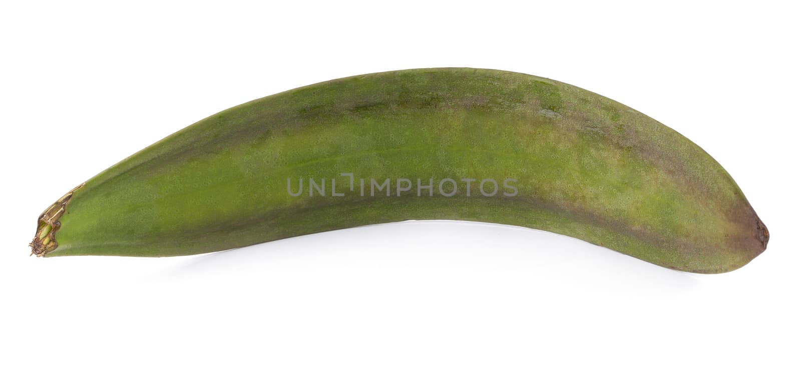 Oroxylum indicum, Eating and medicinal properties tree pod isolated on white background.