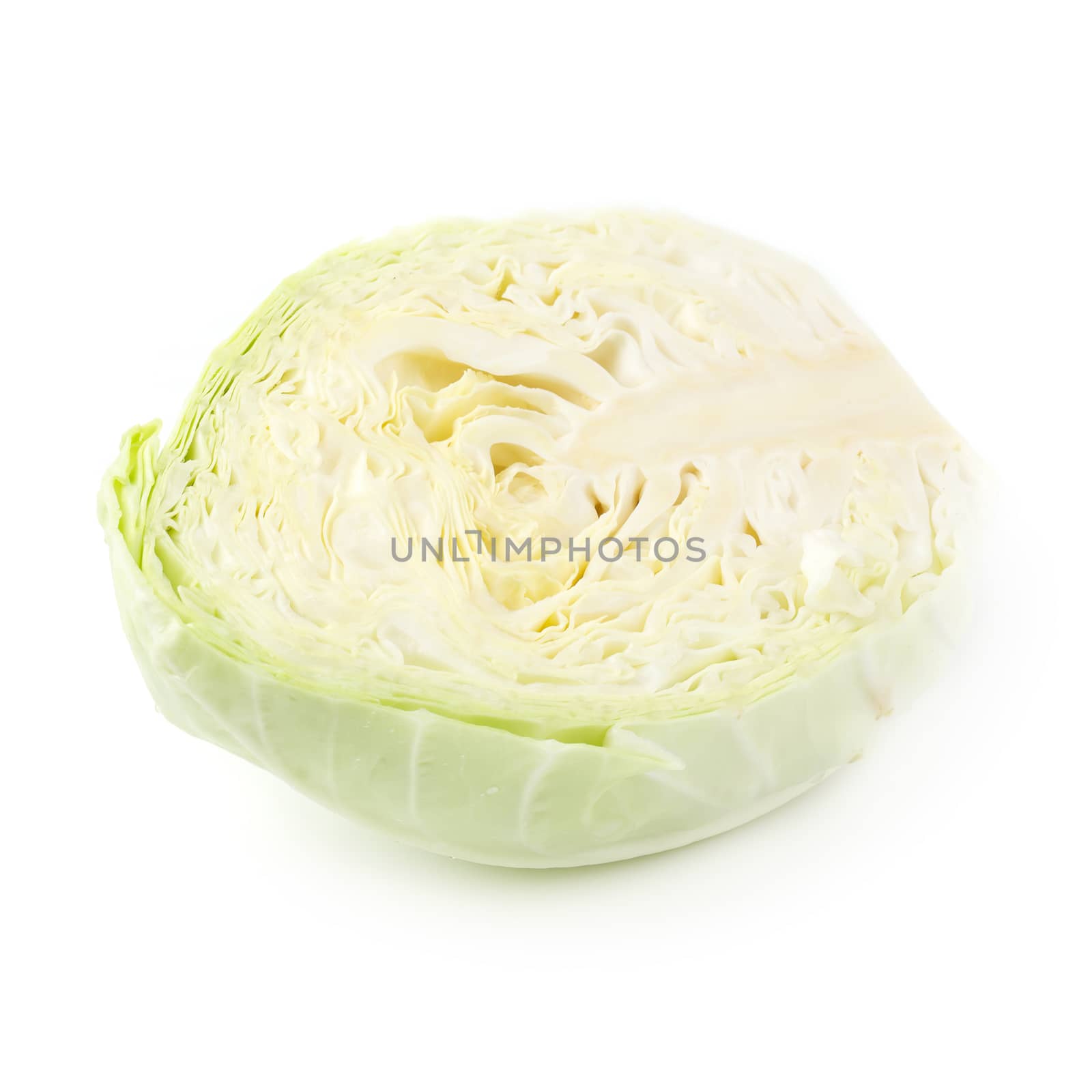 Green cabbage isolated on a white background.