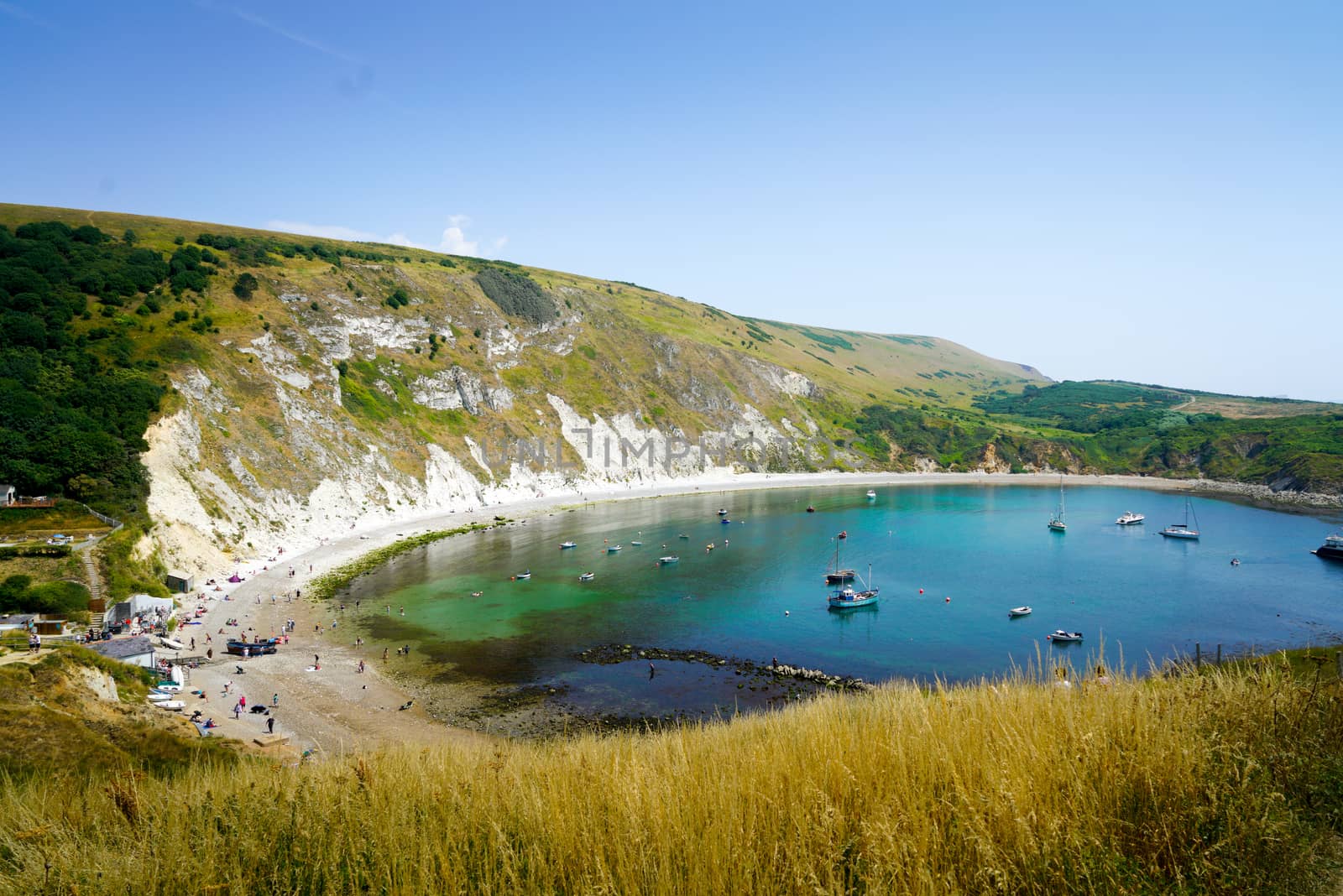 Durdle Door, Dorset in UK, Jurassic Coast World Heritage Site by Alicephoto