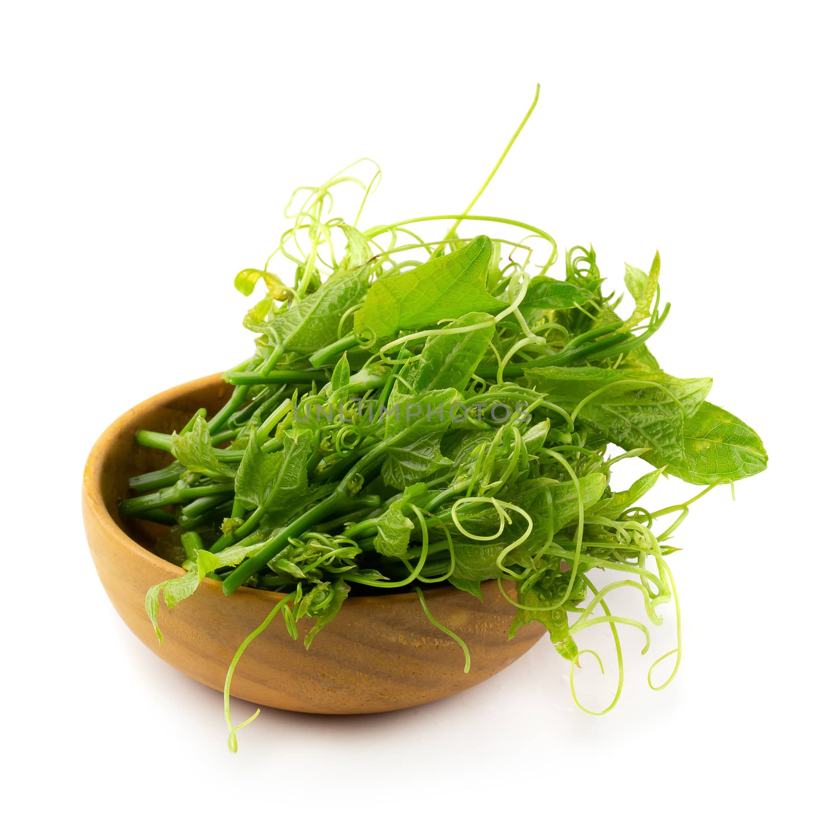 Fresh Chayoted leaves and stem isolated on white background.