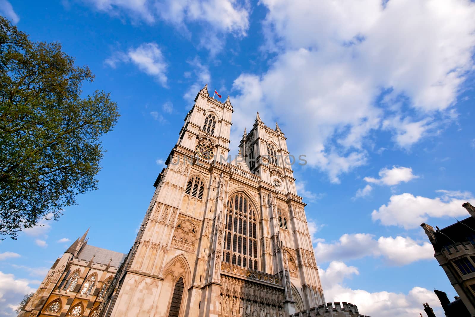 Westminster abbey London, UK by Alicephoto