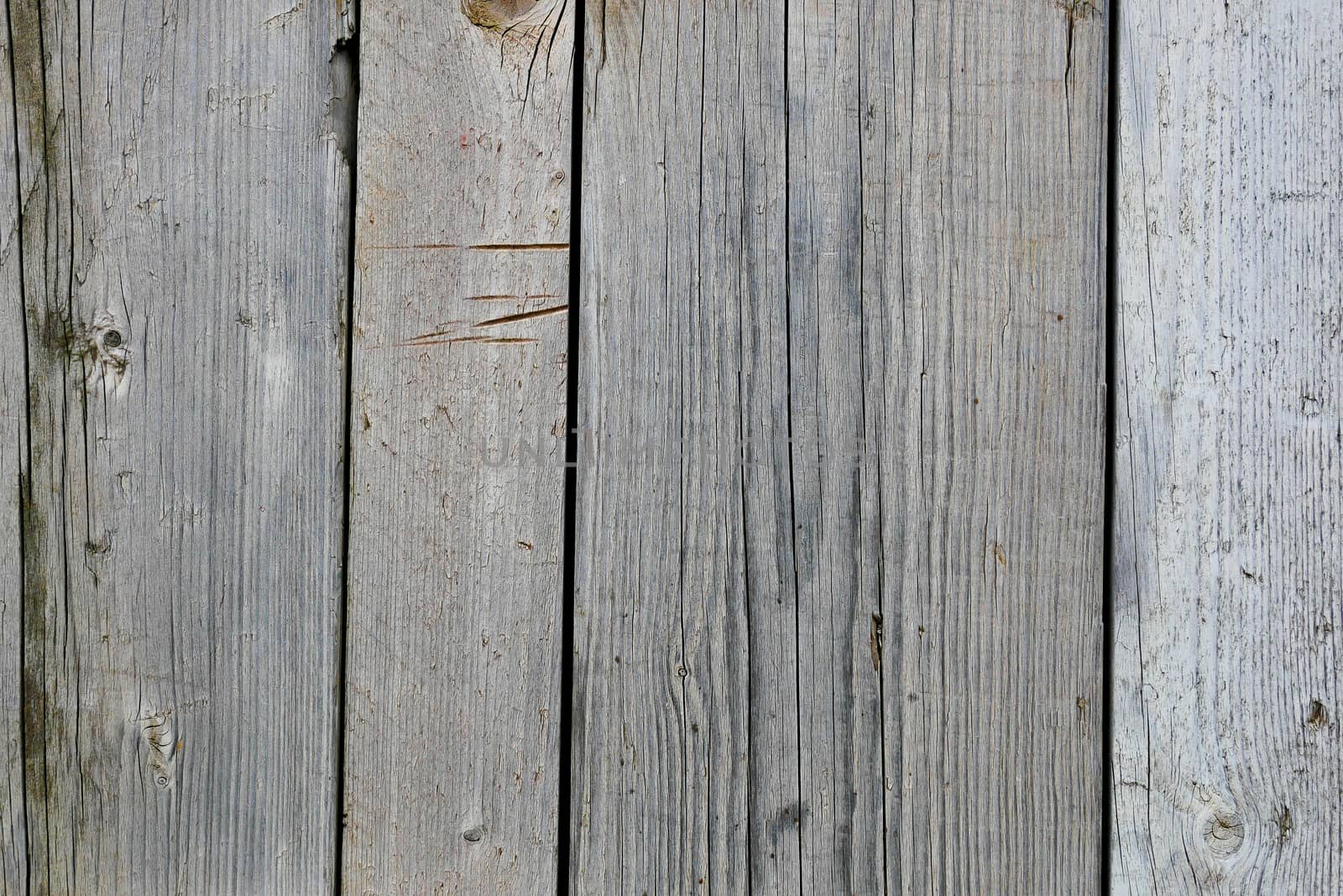 Wood abstract background  by Alicephoto