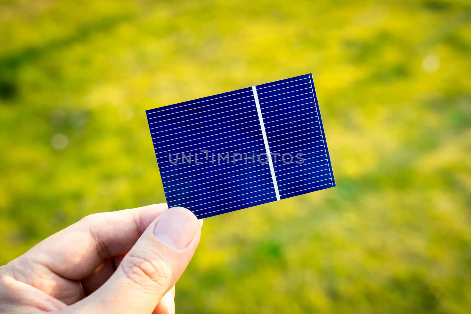 Green energy, Photovoltaic Solar Cell with hand by Alicephoto