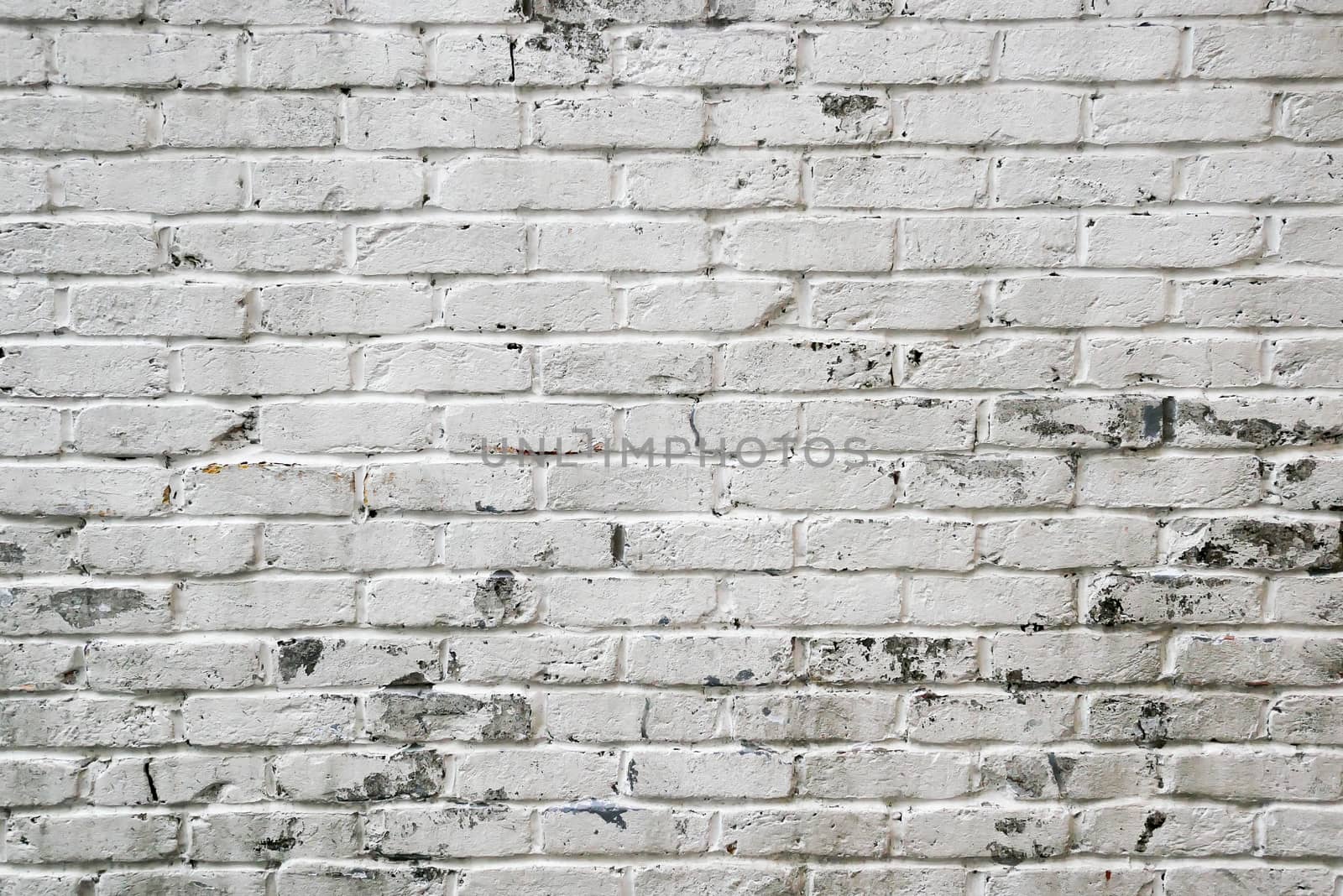 White brick wall background by Alicephoto