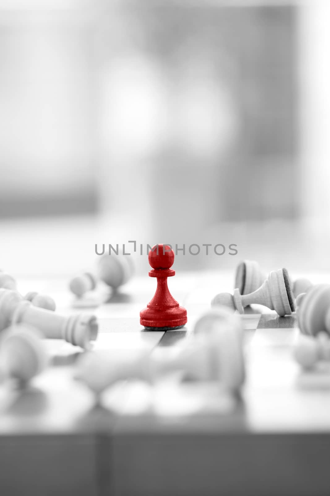 Chess business concept, leader & success